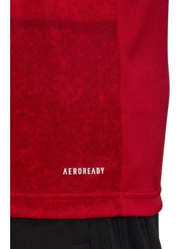 adidas equipación marron