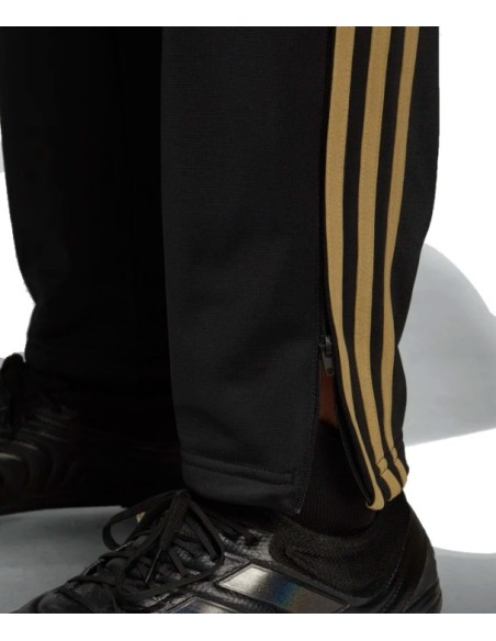 chandal adidas dorado hombre