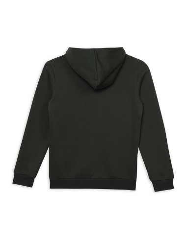 SUDADERA COL BIG VERDE MILITAR (586987-31).