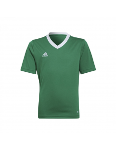 adidas Entrada 22 Jersey T-Shirt Unisex para Niños Team Green/White (HI2126).