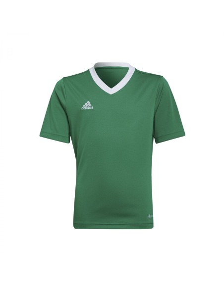 adidas Entrada 22 Jersey T-Shirt Unisex para Niños Team Green/White (HI2126). adidas Entrada 22 Jersey T-Shirt Unisex para Niños Team Green/White (HI2126).