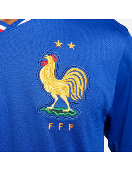 Camiseta Francia Nike: Diseño y Calidad para los Aficionados (FJ1259-452).