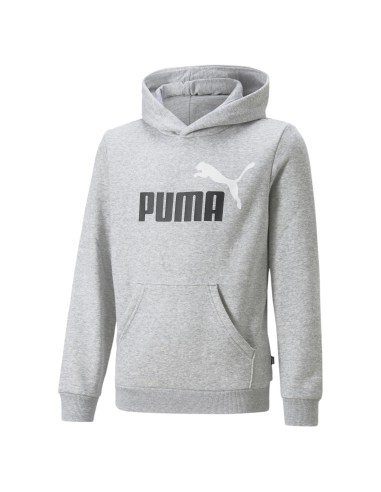 Sudadera Puma COL BIG Gris | Confort y Estilo Casual (586987-04).