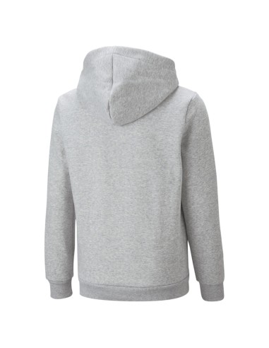 Sudadera Puma COL BIG Gris | Confort y Estilo Casual (586987-04).
