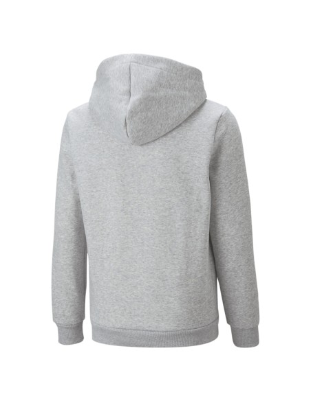 Sudadera Puma COL BIG Gris | Confort y Estilo Casual (586987-04).