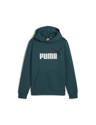 Sudadera Puma COL BIG Green | Estilo y Confort en Verde Vibrante (586987-08).