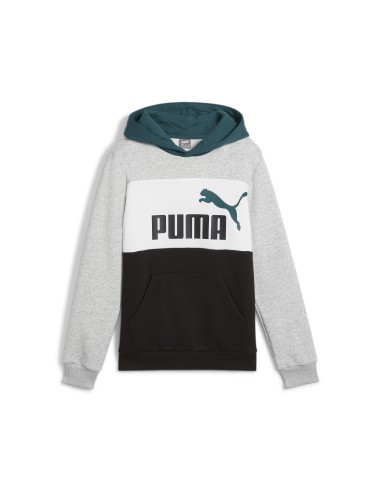 Sudadera Puma Colores con Capucha | Estilo y Comodidad (679717-04).