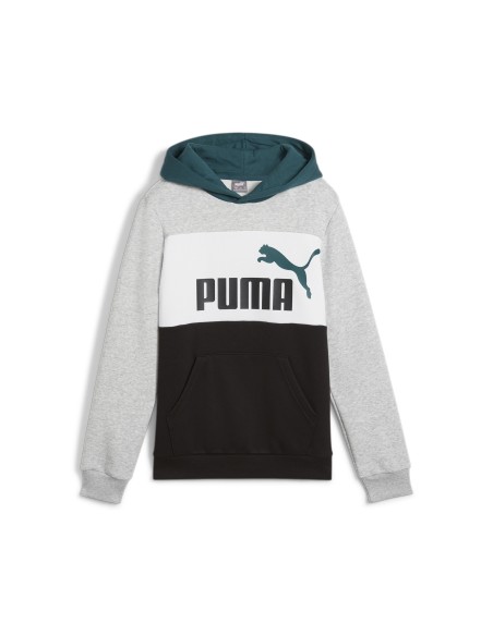 Sudadera Puma Colores con Capucha | Estilo y Comodidad (679717-04). Sudadera Puma Colores con Capucha | Estilo y Comodidad (679717-04).