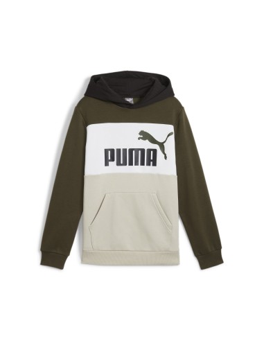 Sudadera Puma Colores Hoodie con Capucha | Moda Deportiva (679717-70).