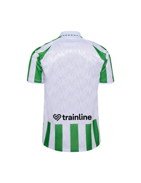 CAMISETA 1º EQUIPACION 24/25 JR REAL BETIS (226813-6143). CAMISETA 1º EQUIPACION 24/25 JR REAL BETIS (226813-6143).