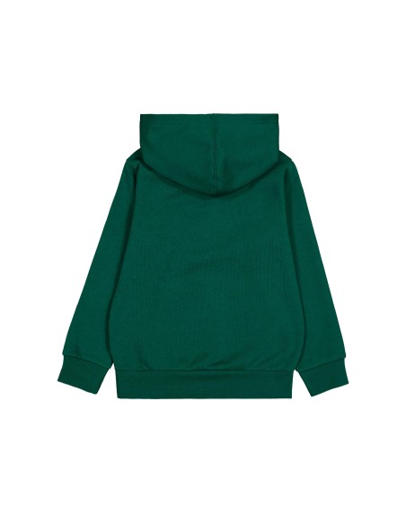 Sudadera Verde con Capucha para Hombre | Estilo Casual y Confort (306837-GS502). Sudadera Verde con Capucha para Hombre | Estilo Casual y Confort (306837-GS502).