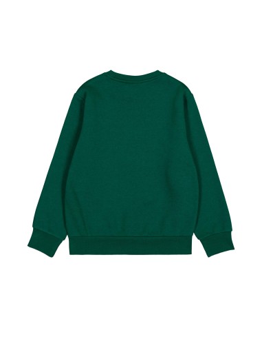 Sudadera Verde con Cuello Caja para Hombre | Estilo Casual y Confort (306838-GS502).