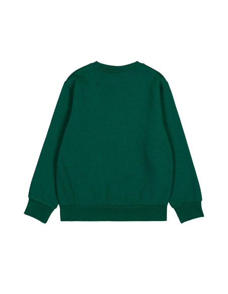 Sudadera Verde con Cuello Caja para Hombre | Estilo Casual y Confort (306838-GS502).