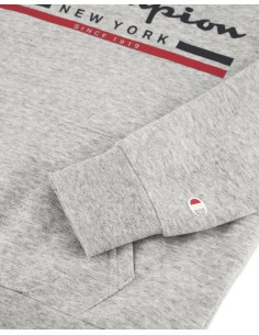 SUDADERA CHAMPION GRIS GORRO (306837-NOXM). 2