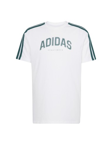 CAMISETA BLANCA H ADIDAS (JJ3868).