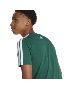 CAMISETA VERDE ADIDAS (JI6675). 2