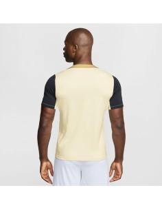 CAMISETA DRY FIT NIKE H (FN2399-110). 2
